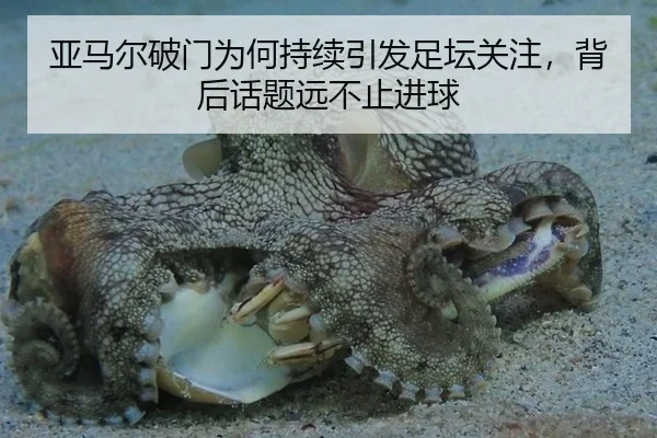 亚马尔破门为何持续引发足坛关注，背后话题远不止进球